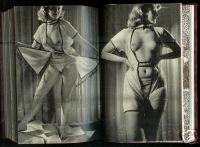 <b>Regal</b> 12 Magazines of Erotic Photography